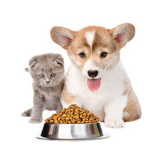 Collection image for: Pet food